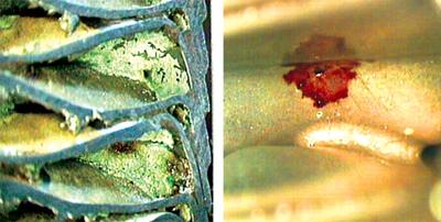 Corrosion of copper and stainless steel Corrosion of copper and stainless steel